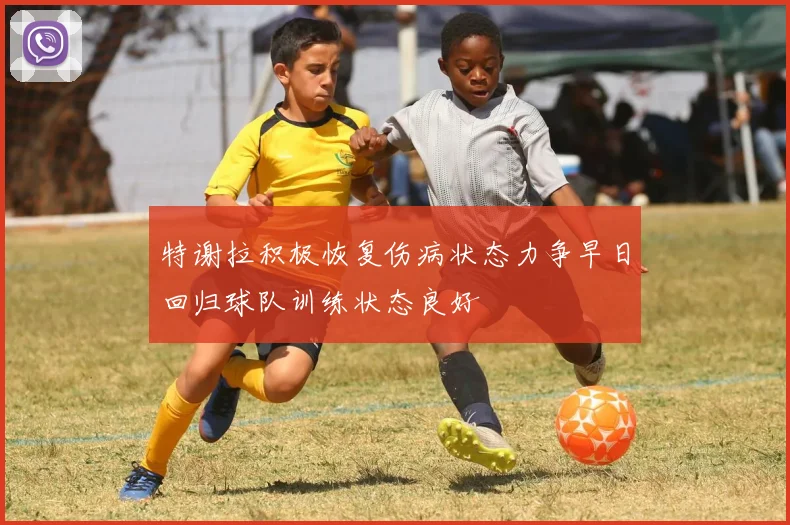 特谢拉积极恢复伤病状态力争早日回归球队训练状态良好