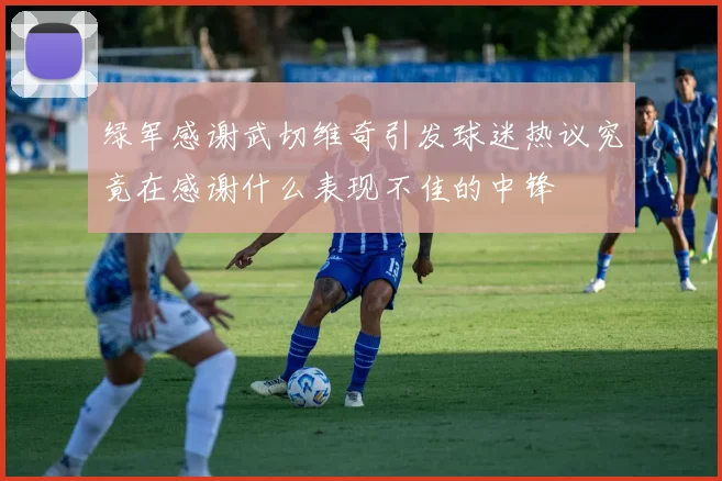 绿军感谢武切维奇引发球迷热议究竟在感谢什么表现不佳的中锋