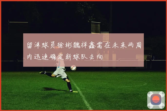留洋球员徐彬魏祥鑫需在未来两周内迅速确定新球队去向